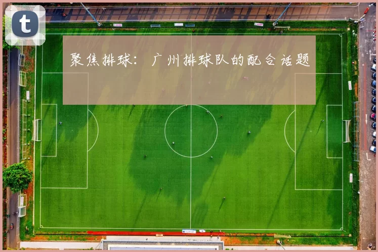 聚焦排球：广州排球队的配合话题