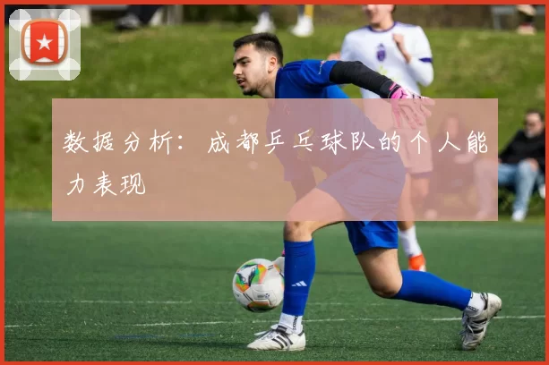 数据分析：成都乒乓球队的个人能力表现